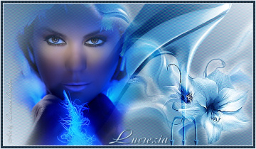 http://www.lucreziagraf.com/